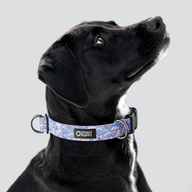Camo Purple Everyday Collar — Large