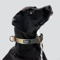 Earthtone Rainbow Everyday Collar — Large