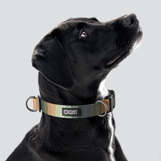 Earthtone Rainbow Everyday Collar — Large