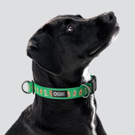 Gingerbread Green Everyday Collar — Large