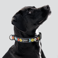 Holiday Globes Everyday Collar — Large