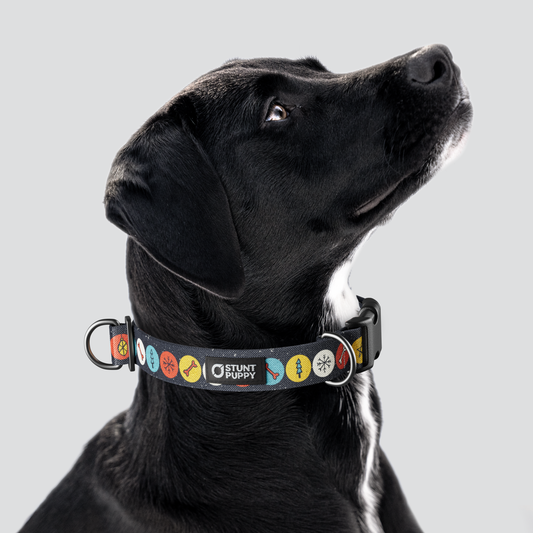 Holiday Globes Everyday Collar