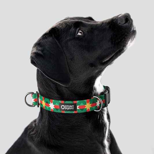 Holiday Quilt Everyday Collar — Large