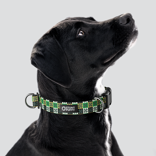 Snowflake Everyday Collar