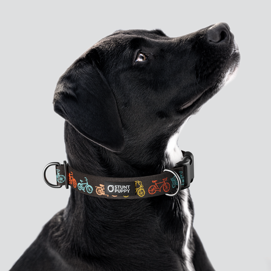 Jill Kittock Bikes Grey Everyday Collar — Large