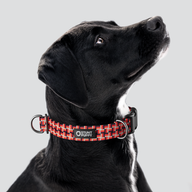 Lattice Brick Everyday Collar — Large
