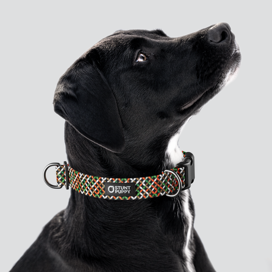 Lattice Orange Everyday Collar