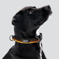 Marsh Brown Everyday Collar — Large