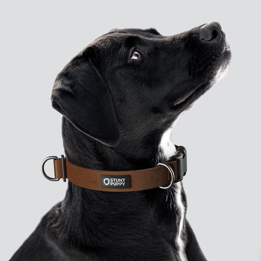 Bark Monochrome Everyday Collar