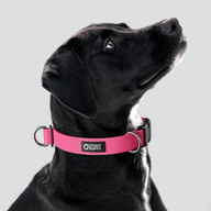 Bubblegum Monochrome Everyday Collar — Large