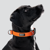 Clementine Monochrome Everyday Collar — Large
