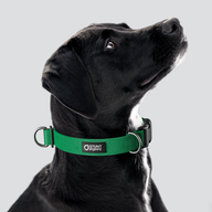 Clover Monochrome Everyday Collar — Large