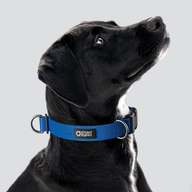 Lake Monochrome Everyday Collar — Large