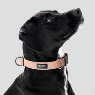 Paloma Monochrome Everyday Collar — Large