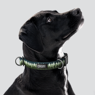 Pines Green Everyday Collar — Large