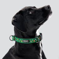 Pollinator Everyday Collar — Large