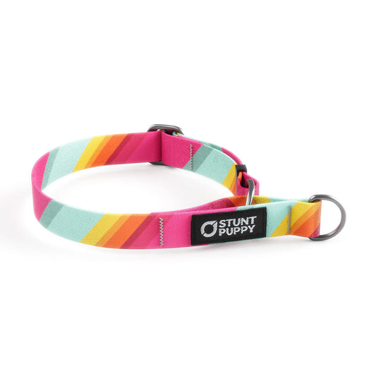 Martingale Limited-Slip Collar All Are Welcome Here
