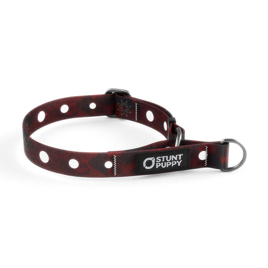 Martingale Limited-Slip Collar Dakota Mace Evening Star