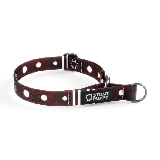 Martingale Limited-Slip Collar Dakota Mace Morning Star