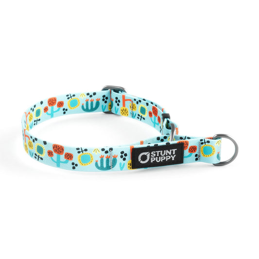 Martingale Limited-Slip Collar Desert Sunrise