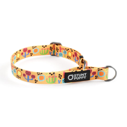 Martingale Limited-Slip Collar Desert Sunset