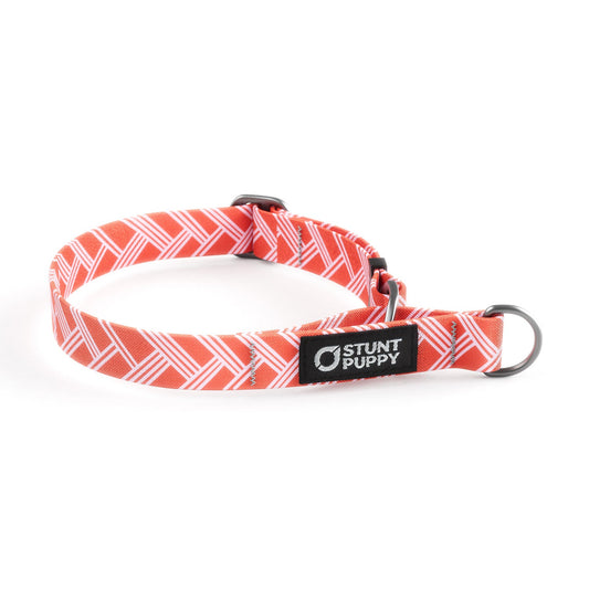 Martingale Limited-Slip Collar Fishtail Red White
