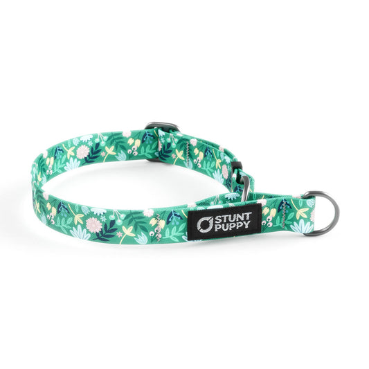 Martingale Limited-Slip Collar Frolic Spring