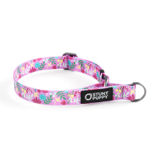Martingale Limited-Slip Collar Frolic Summer