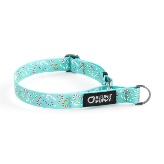 Martingale Limited-Slip Collar Holiday Candycanes Aqua