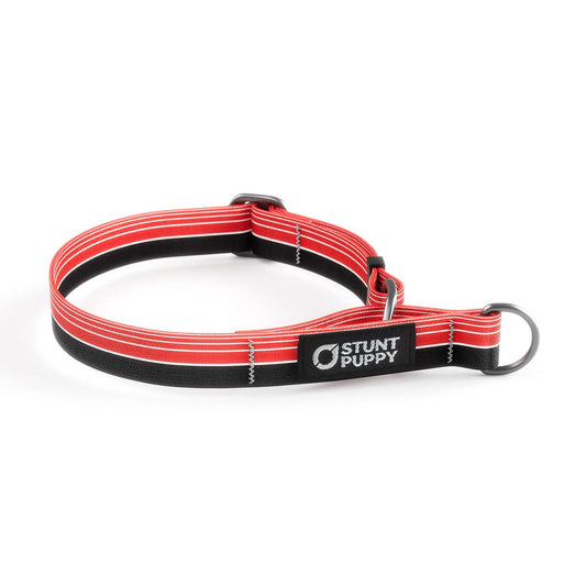 Martingale Limited-Slip Collar Horizon
