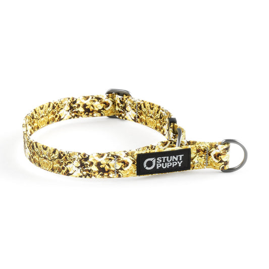 Martingale Limited-Slip Collar Jammin Gold Liquid Light