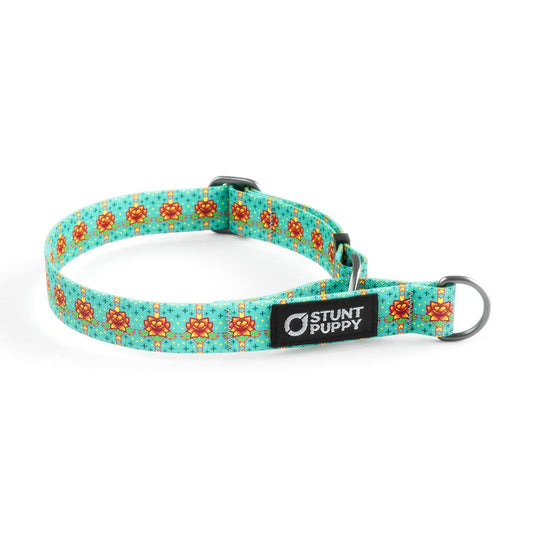 Martingale Limited-Slip Collar Kaylene Cookies Best