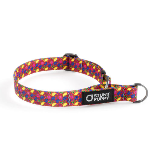 Martingale Limited-Slip Collar Kaylene Rocky Boy MT