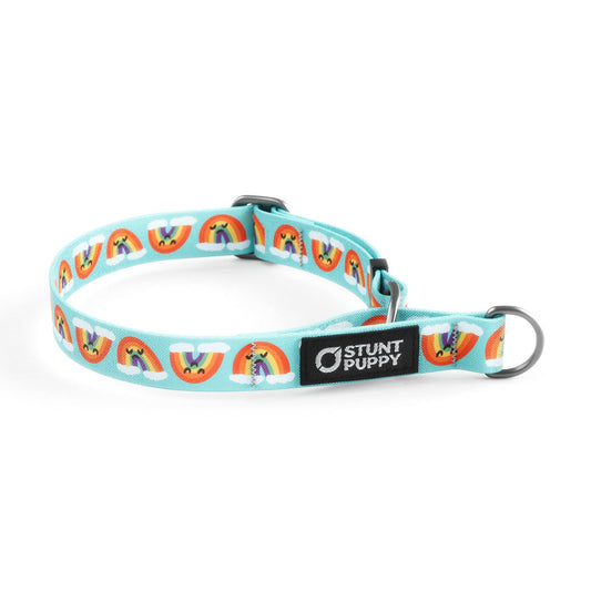 Martingale Limited-Slip Collar Kittock Rainbow