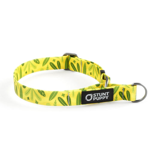 Martingale Limited-Slip Collar Leaves Summer