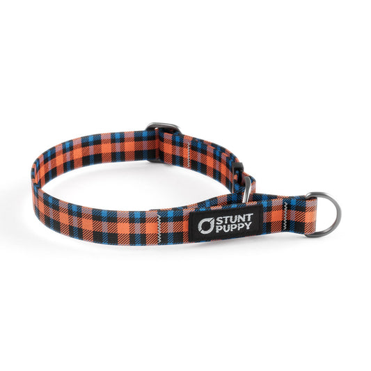 Martingale Limited-Slip Collar Lumberpup Emily