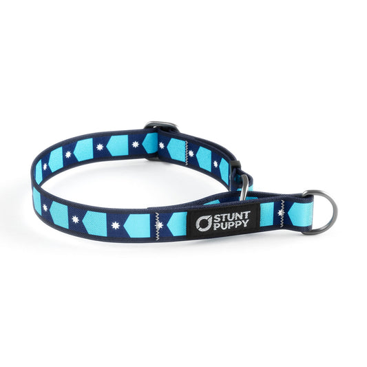 Martingale Limited-Slip Collar Minnesota Flag