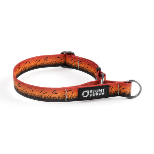 Martingale Limited-Slip Collar Marsh Orange