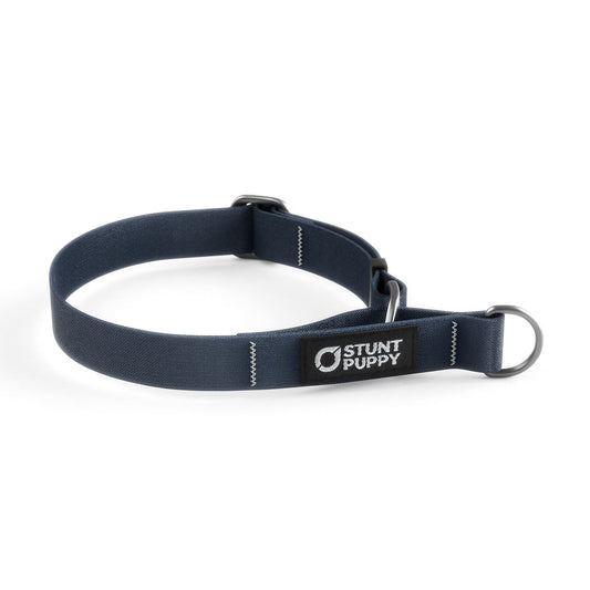 Martingale Limited-Slip Collar Monochrome Lights Out