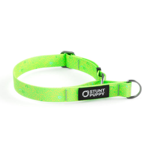 Martingale Limited-Slip Collar Petri Chartreuse