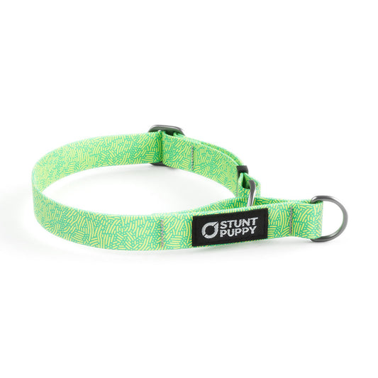 Martingale Limited-Slip Collar Petri Lime