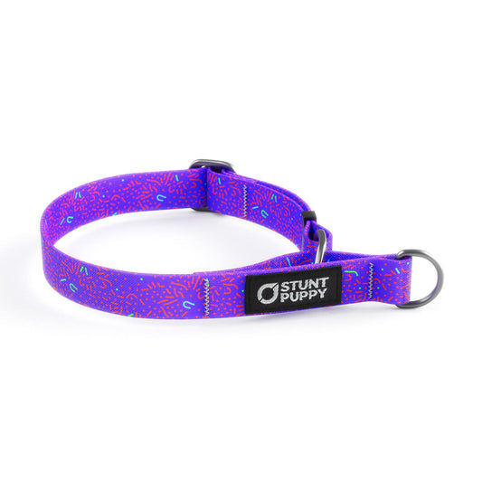 Martingale Limited-Slip Collar Petri Purple