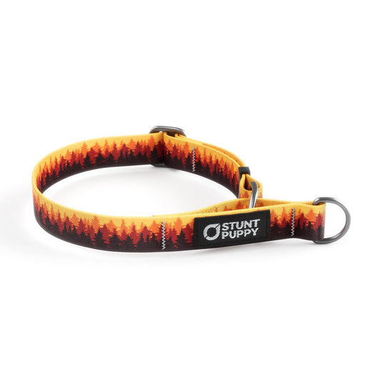 Martingale Limited-Slip Collar Pines Orange
