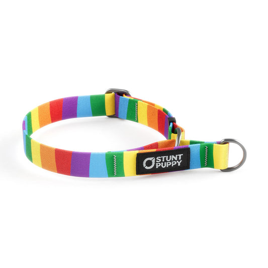 Martingale Limited-Slip Collar Rainbow