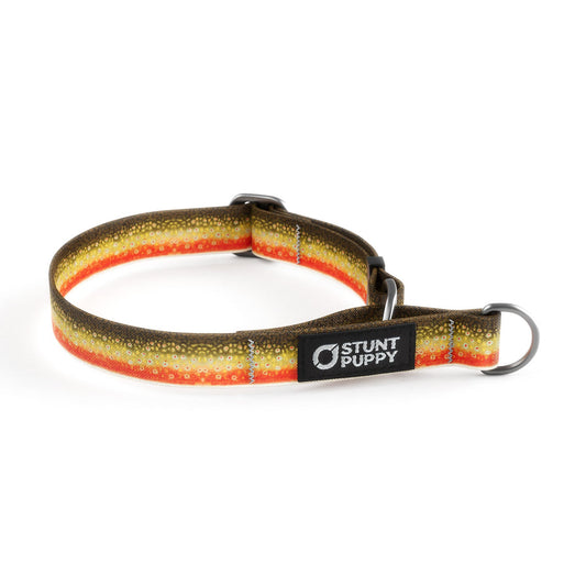 Martingale Limited-Slip Collar Brook Trout