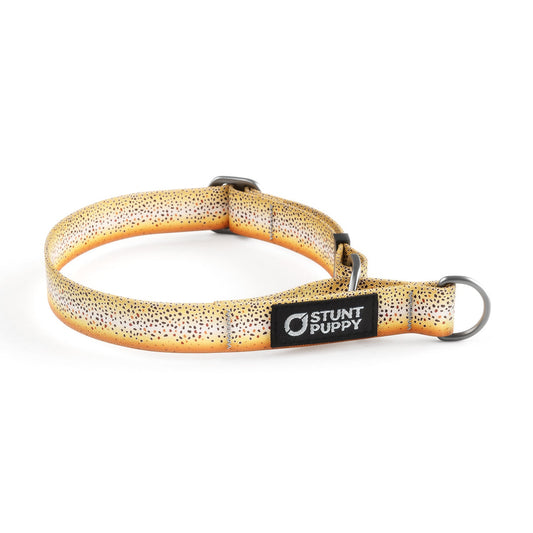 Martingale Limited-Slip Collar Brown Trout