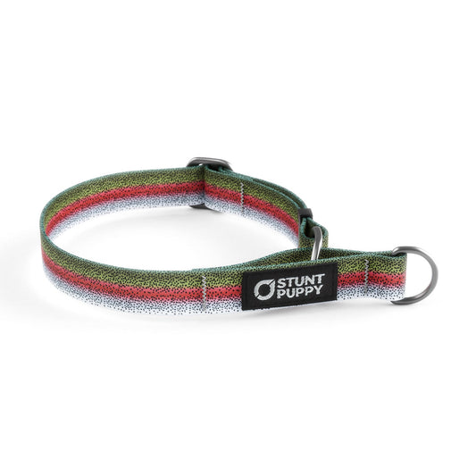 Martingale Limited-Slip Collar Rainbow Trout
