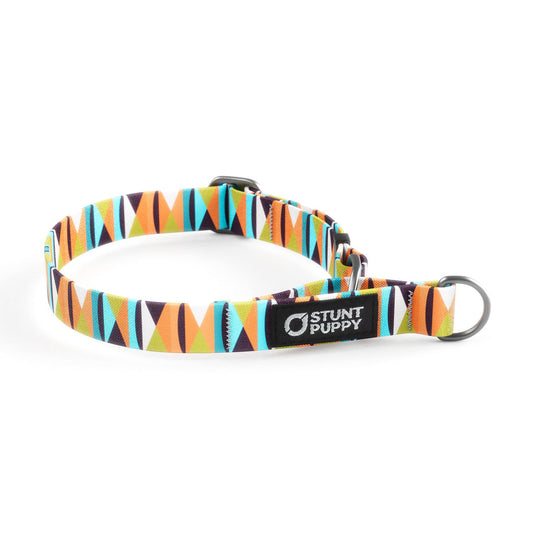 Martingale Limited-Slip Collar Zebras Gone Wild Hot Blue