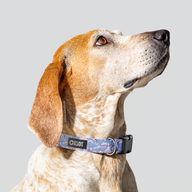 Camo Purple Everyday Collar — Medium