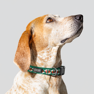 Santa Hats Green Everyday Collar — Medium
